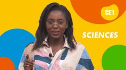 COURS DE CE1 - SCIENCES - L'ENERGIE