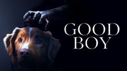 Good Boy