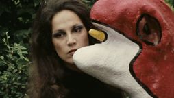 Un rêve plus long que la nuit