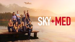 SkyMed