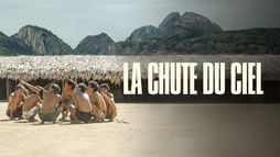 La Chute du ciel