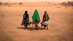 Marcher sur l'eau - Trailer