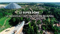 Le super dôme : le nouveau défi du zoo de Beauval