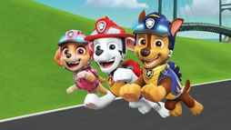 Paw Patrol, la Pat'Patrouille - Saison 7