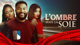 L'ombre sous la soie