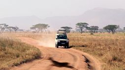 Itinéraires sauvages