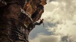 Apex