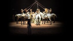 Bartabas et les amazones de Versailles - Trailer