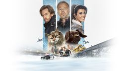 Chien et chat - Trailer