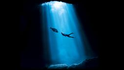 Blueback : une amitié sous-marine - Trailer