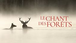 Le Chant des forêts