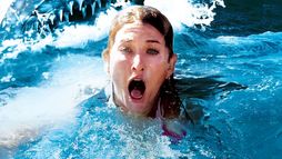 Malibu Shark Attack