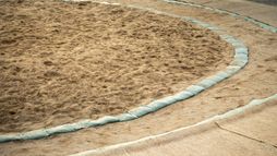 Sumo : Tournoi de Paris
