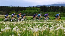 Cyclisme : Tour de Slovénie