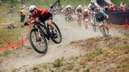 VTT : Coupe du monde de short track