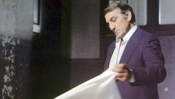 Un papillon sur l'épaule