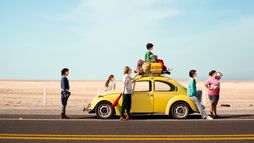 Les drôles de poissons chats