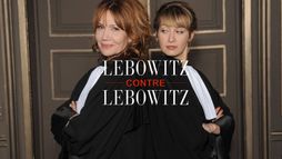 Lebowitz contre Lebowitz