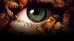 Candyman 3