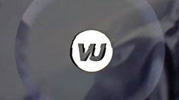 Vu
