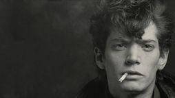 Mapplethorpe : Look at the pictures