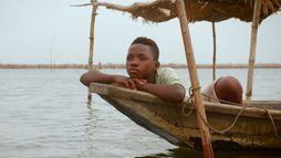 Les sentinelles de l'Afrique