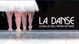 La danse, le ballet de l'Opéra de Paris