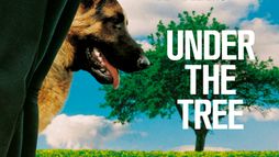 Under the Tree