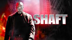 Shaft