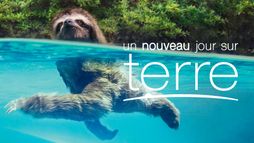 Un nouveau jour sur Terre