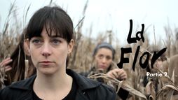 La flor : partie 2