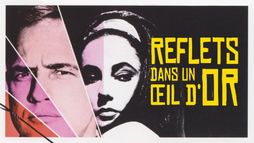 Reflets dans un oeil d'or