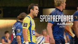 Sport Reporter
