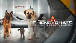 Comme chiens et chats : la revanche de Kitty Galore