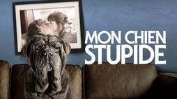 Mon chien Stupide