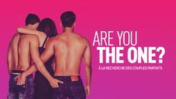 Are You the One ? A la recherche des couples parfaits