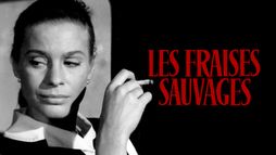 Les fraises sauvages