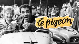 Le pigeon