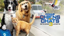 Comme Chiens et Chats 3 : Patte dans la patte