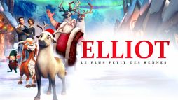 Elliot : le plus petit des rennes