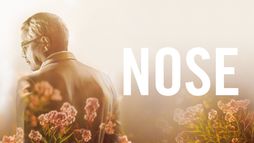 Nose