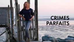 Crimes parfaits