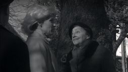 Histoires de la TV