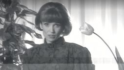 Histoires de la TV