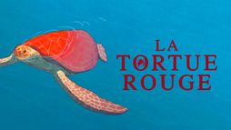 La tortue rouge
