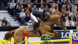 Göteborg | Saut d'obstacles