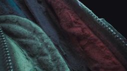 Généalogie de la violence