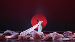 Le Rêve dans le pavillon rouge : Ballet National Chine