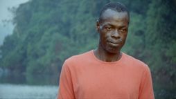 Anamocot : La réponse de la mygale