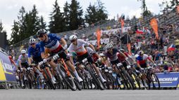 Nove Mesto | XCC